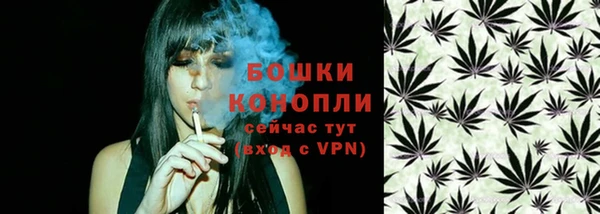 шишки Абдулино