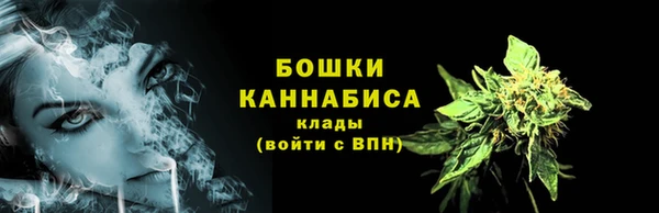 шишки Абдулино
